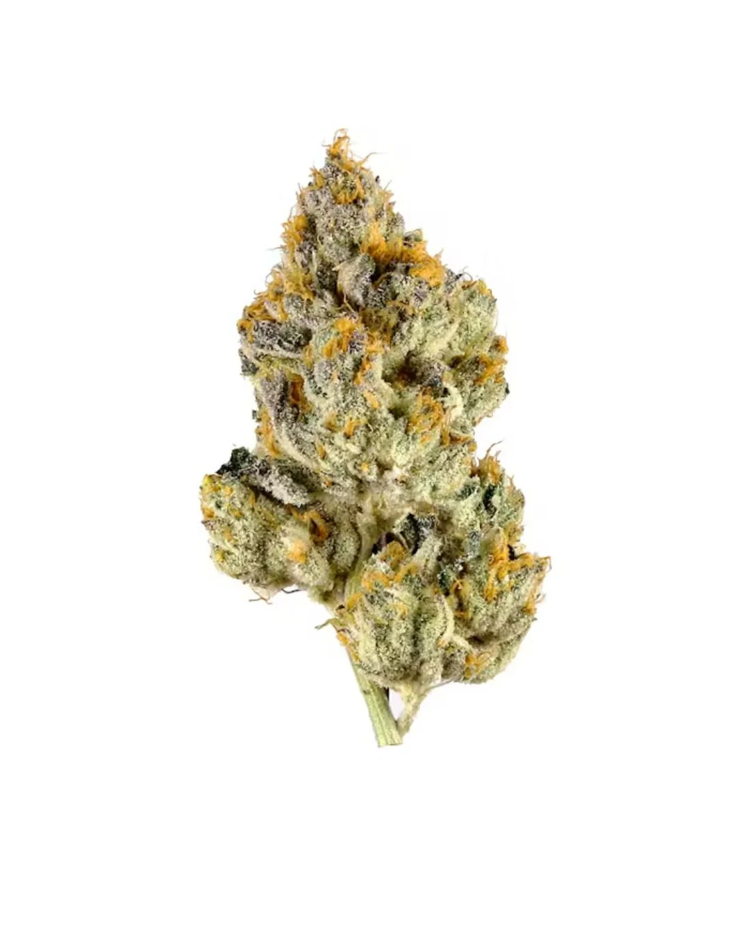 Lemon Cherry Gelato